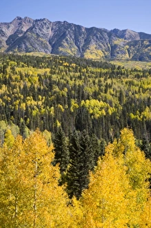 USA, Colorado, San Juan National Forest, along highway 550 USA, Colorado, San Juan National Forest, along highway 550