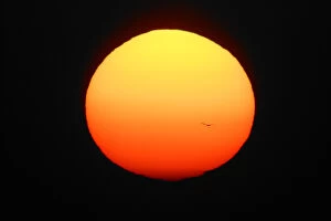 Images Dated 22nd March 2004: USA, Florida, Ft. Myers. Silhouette of bird flying in front of sun globe. Credit as