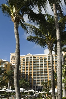 USA, Florida, Miami Area (Key Biscayne): Ritz Carlton Hotel Key Biscayne USA, Florida, Miami Area (Key Biscayne): Ritz Carlton Hotel Key Biscayne