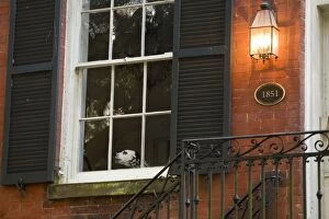 USA; Georgia; Savannah. Dog at window of home in Historic District. (PR)