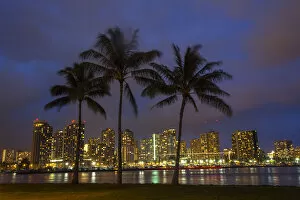 Images Dated 9th April 2012: USA; Hawaii; Honolulu; Palm Trees with the night lights of Honolulu
