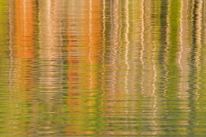USA, Idaho. Reflections on Redfish Lake. Credit as: Don Paulson / Jaynes Gallery / DanitaDelimont USA, Idaho. Reflections on Redfish Lake. Credit as: Don Paulson / Jaynes Gallery / DanitaDelimont