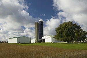 USA-Indiana-Sedan: Indiana Farm on SR 6 / Autumn USA-Indiana-Sedan: Indiana Farm on SR 6 / Autumn