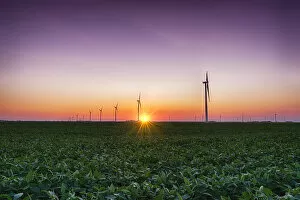 Images Dated 1st August 2012: USA, Indiana. Soybean field and wind farm at sundown