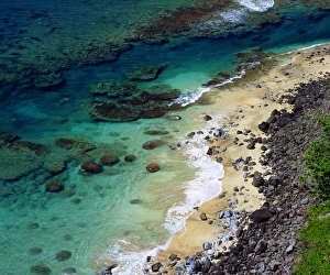 USA; Kauai Hawaii; A coral reef on the Na Pali coast USA; Kauai Hawaii; A coral reef on the Na Pali coast