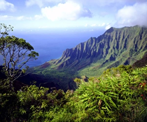 USA, Kauai, Hawaii. View above the Na Pali Coast USA, Kauai, Hawaii. View above the Na Pali Coast