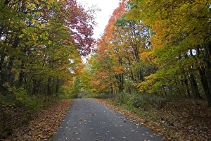 USA - Kentucky. Fall color along road to Big Black Mountain (highest point of Kentucky) USA - Kentucky. Fall color along road to Big Black Mountain (highest point of Kentucky)