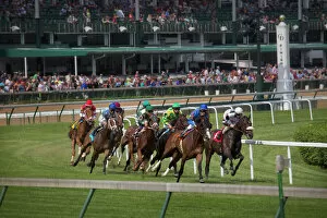 Action Collection: USA, Kentucky, Louisville. Horses racing on turf at Churchill Downs
