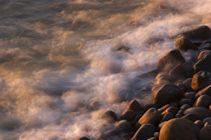 USA Maine Acadia NP morning light on rocksand waves at Pepple Beach USA Maine Acadia NP morning light on rocksand waves at Pepple Beach