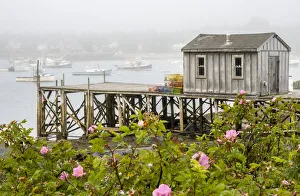 USA, Maine. Bernard fishing village, Mount Desert Island, Maine, USA USA, Maine. Bernard fishing village, Mount Desert Island, Maine, USA