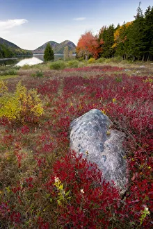 USA, Maine. The Bubbles and Jordan Pond in full autumn colors, Acadia National Park USA, Maine. The Bubbles and Jordan Pond in full autumn colors, Acadia National Park