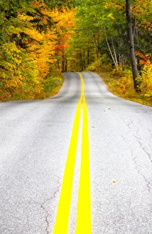 USA, Maine, Highway 113 lined by Maple and Birch trees in full Autumn color USA, Maine, Highway 113 lined by Maple and Birch trees in full Autumn color