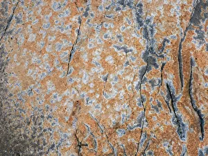 USA, Maine. Patterns on rock on the beach near Thunder Hole in Acadia National Park USA, Maine. Patterns on rock on the beach near Thunder Hole in Acadia National Park