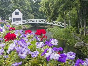USA, Maine. Somesville bridge in Acadia National Park with petunias USA, Maine. Somesville bridge in Acadia National Park with petunias