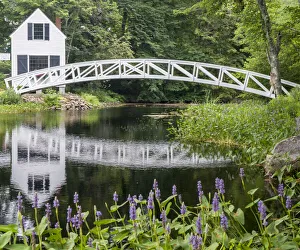 USA, Maine. Somesville bridge with reflection in Acadia National Park USA, Maine. Somesville bridge with reflection in Acadia National Park