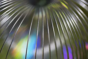 USA, Martinsville, Indiana. Close-up of a slinky USA, Martinsville, Indiana. Close-up of a slinky