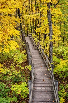 USA, Michigan, Porcupine Mountains Wilderness State Park, Boardwalk to Summit Peak USA, Michigan, Porcupine Mountains Wilderness State Park, Boardwalk to Summit Peak