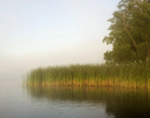 USA, Minnesota, Hoyt Lakes. Foggy morning lake USA, Minnesota, Hoyt Lakes. Foggy morning lake
