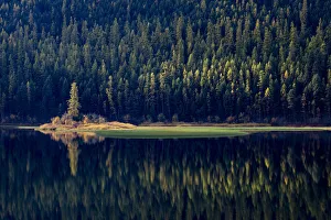 USA, Montana. Lone pine on island of green with reflections, Salmon Lake State Park USA, Montana. Lone pine on island of green with reflections, Salmon Lake State Park