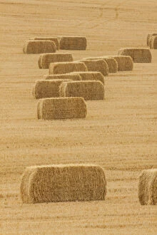 Images Dated 26th August 2018: Usa, Montana, near Drummond. Bales of hay in a field that has just been harvested