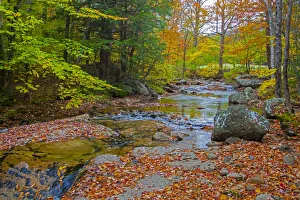 USA, New Hampshire, New England, Jackson small stream surrounded in Fall color USA, New Hampshire, New England, Jackson small stream surrounded in Fall color