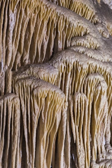 USA, New Mexico, Carlsbad Caverns. Scenic of limestone formation USA, New Mexico, Carlsbad Caverns. Scenic of limestone formation