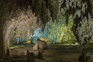 USA, New Mexico, Carlsbad Caverns. Scenic of cavern USA, New Mexico, Carlsbad Caverns. Scenic of cavern