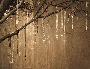 USA, New Mexico. Rosaries hang from a tree outside of the Loretto Chapel in Santa Fe USA, New Mexico. Rosaries hang from a tree outside of the Loretto Chapel in Santa Fe