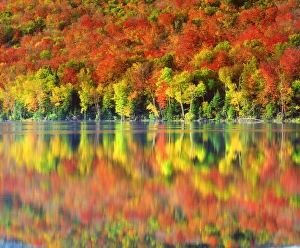 USA; New York; Autumn colors relecting in Heart Lake in the Adirondacks USA; New York; Autumn colors relecting in Heart Lake in the Adirondacks