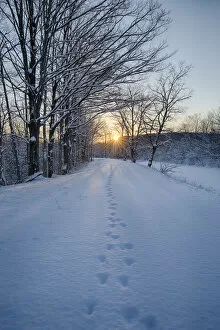 Erie Canal Gallery: USA, New York State. Animal tracks in snow, Erie Canal