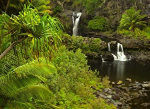 Images Dated 19th May 2009: USA, North America, Hawaii