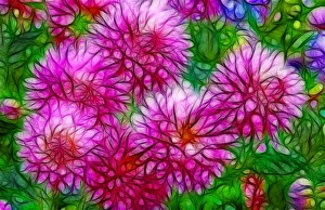 USA, Oregon. Abstract of digitally altered pink dahlias USA, Oregon. Abstract of digitally altered pink dahlias