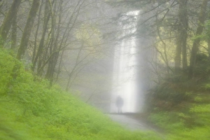 USA, Oregon, Columbia River Gorge. Latourell Falls seen through a rain-streaked car window USA, Oregon, Columbia River Gorge. Latourell Falls seen through a rain-streaked car window