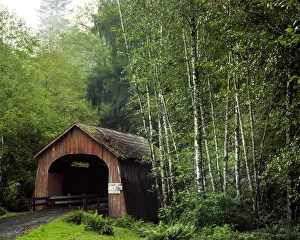 USA, Oregon. Covered bridge over North Fork of Yachats River. Credit as: Steve Terrill USA, Oregon. Covered bridge over North Fork of Yachats River. Credit as: Steve Terrill