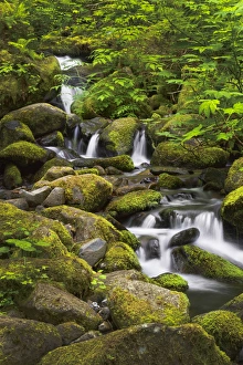 USA, Oregon, Hood River. A waterfall on Tish Creek, just above Eagle Creek and Punch USA, Oregon, Hood River. A waterfall on Tish Creek, just above Eagle Creek and Punch