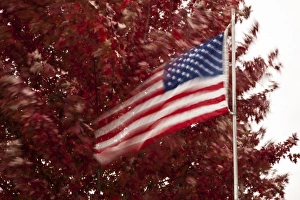 USA, Oregon, Keizer, long exposure of flag in wind USA, Oregon, Keizer, long exposure of flag in wind