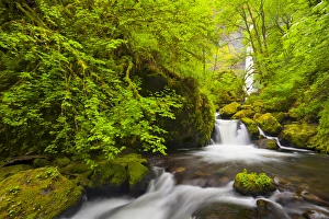 USA, Oregon. Lovely Elowah Falls on McCord Creek in the spring, in the Columbia Gorge USA, Oregon. Lovely Elowah Falls on McCord Creek in the spring, in the Columbia Gorge