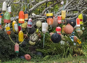 USA, Oregon, Newport. Tree decorated with buoys USA, Oregon, Newport. Tree decorated with buoys