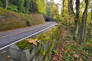 USA, Oregon, Portland. Macleay Park and road in autumn USA, Oregon, Portland. Macleay Park and road in autumn