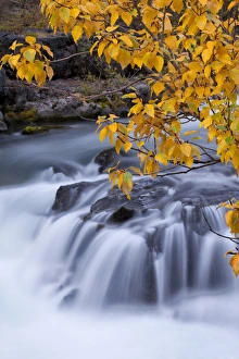 USA, Oregon. Rogue River waterfalls in autumn USA, Oregon. Rogue River waterfalls in autumn