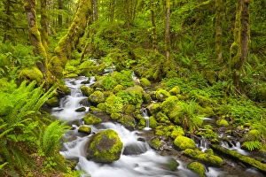 USA, Oregon. Ruckle Creek in springtime, in the Columbia Gorge, Oregon USA, Oregon. Ruckle Creek in springtime, in the Columbia Gorge, Oregon