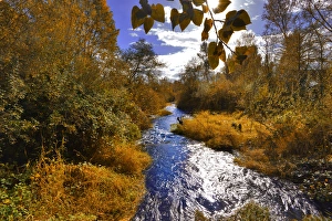 USA, Oregon. Scenic of Dieckman Creek. Credit as: Steve Terrill / Jaynes Gallery / DanitaDelimont USA, Oregon. Scenic of Dieckman Creek. Credit as: Steve Terrill / Jaynes Gallery / DanitaDelimont