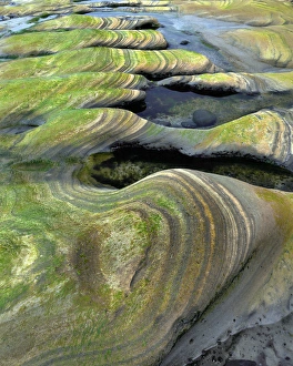 USA, Oregon, Seal Rock Beach Wayside. Algae-tinted sandstone formations. Credit as USA, Oregon, Seal Rock Beach Wayside. Algae-tinted sandstone formations. Credit as