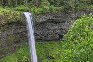 USA, Oregon. Silver Falls State Park, spring flow of South Fork Silver Creek plunges USA, Oregon. Silver Falls State Park, spring flow of South Fork Silver Creek plunges