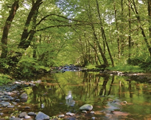 USA, Oregon, Tillamook State Forest. Scenic of Wilson River USA, Oregon, Tillamook State Forest. Scenic of Wilson River