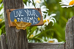 USA, Pennsylvania. Moth on garden sign. Credit as: Nancy Rotenberg / Jaynes Gallery USA, Pennsylvania. Moth on garden sign. Credit as: Nancy Rotenberg / Jaynes Gallery
