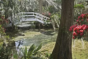 Images Dated 15th March 2008: USA, South Carolina, Charleston. A wooden bridge spans a pond on the Magnolia Plantation