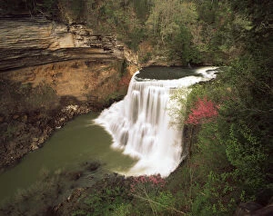 Images Dated 12th February 2013: USA, Tennessee, Burgess Falls State National Park, View of Burgess Falls