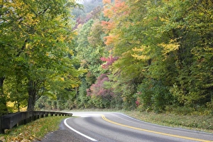 USA - Tennessee. Fall foliage on Newfound Gap Road in Great Smoky Mountains National Park USA - Tennessee. Fall foliage on Newfound Gap Road in Great Smoky Mountains National Park