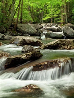 Tranquil Gallery: USA, Tennessee, Great Smoky Mountains National Park, Little Pigeon River at Greenbrier